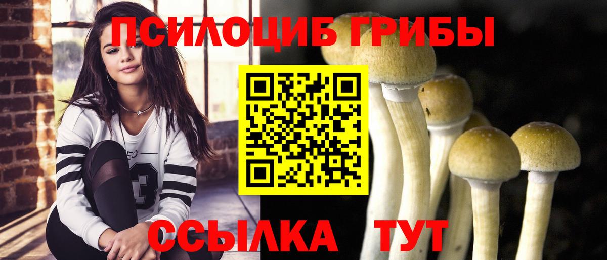 цены наркотик  Вход с VPN  Выкса  Галлюциногенные грибы ЛСД  Псилоцибиновые грибы ЛСД 