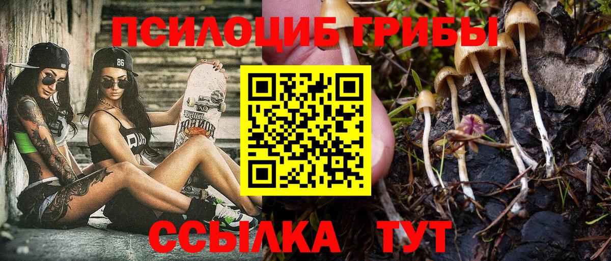 Псилоцибиновые грибы Magic Shrooms Выкса